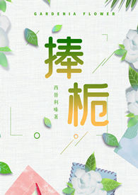 点猫校园编程平台